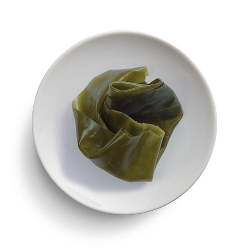 Kelp
